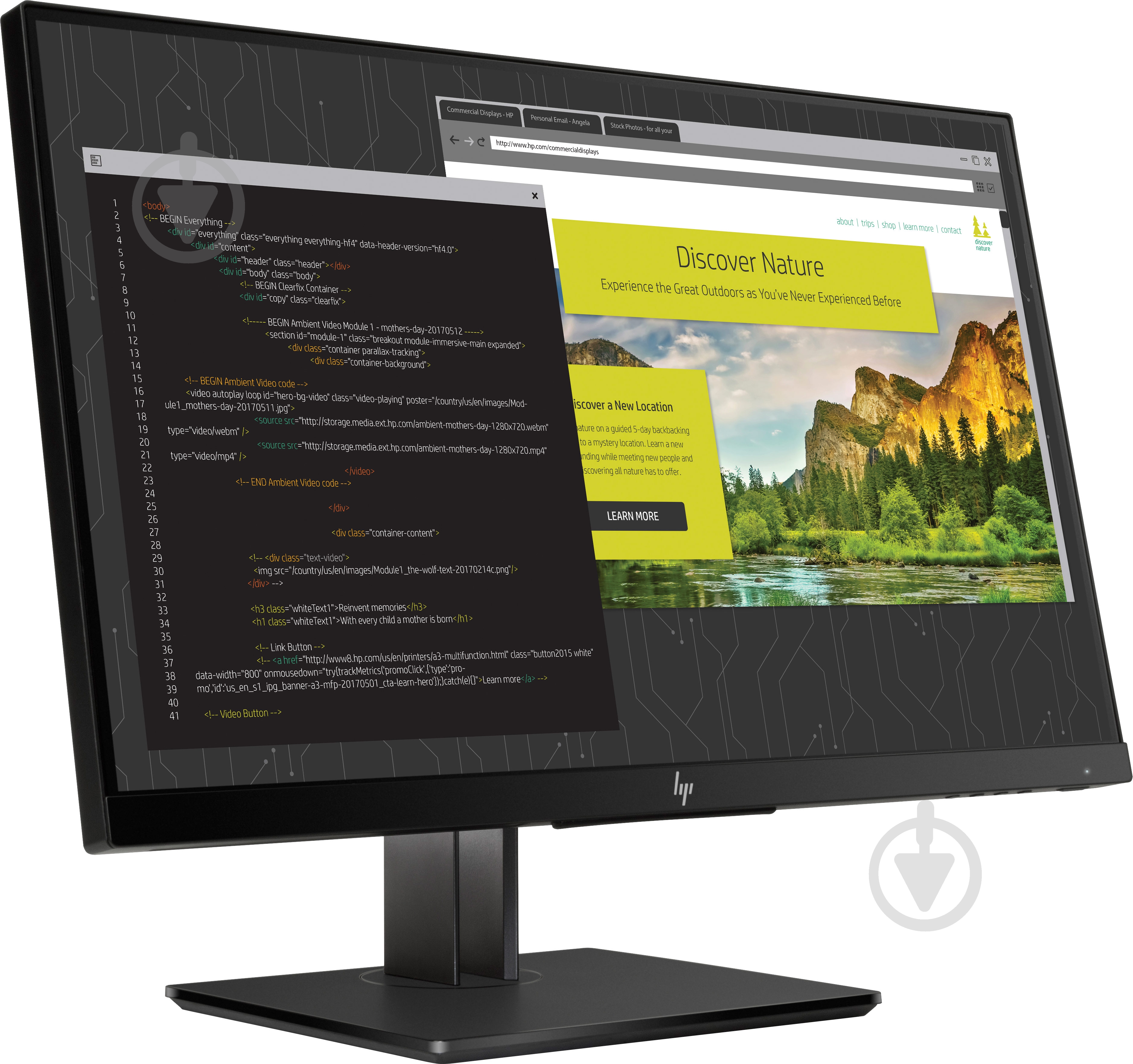 Монитор HP Z24nf G2 23,8" (1JS07A4) - фото 2