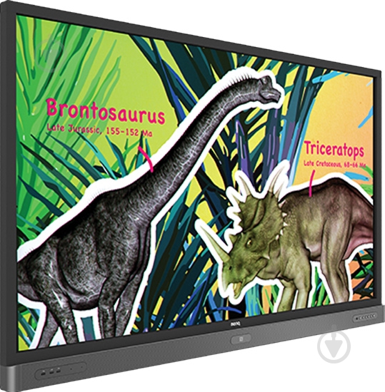 Монитор BenQ RP704K 70" (9H.F3JTC.DE1) - фото 3