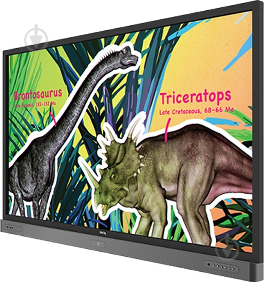 Монитор BenQ RP704K 70" (9H.F3JTC.DE1) - фото 4