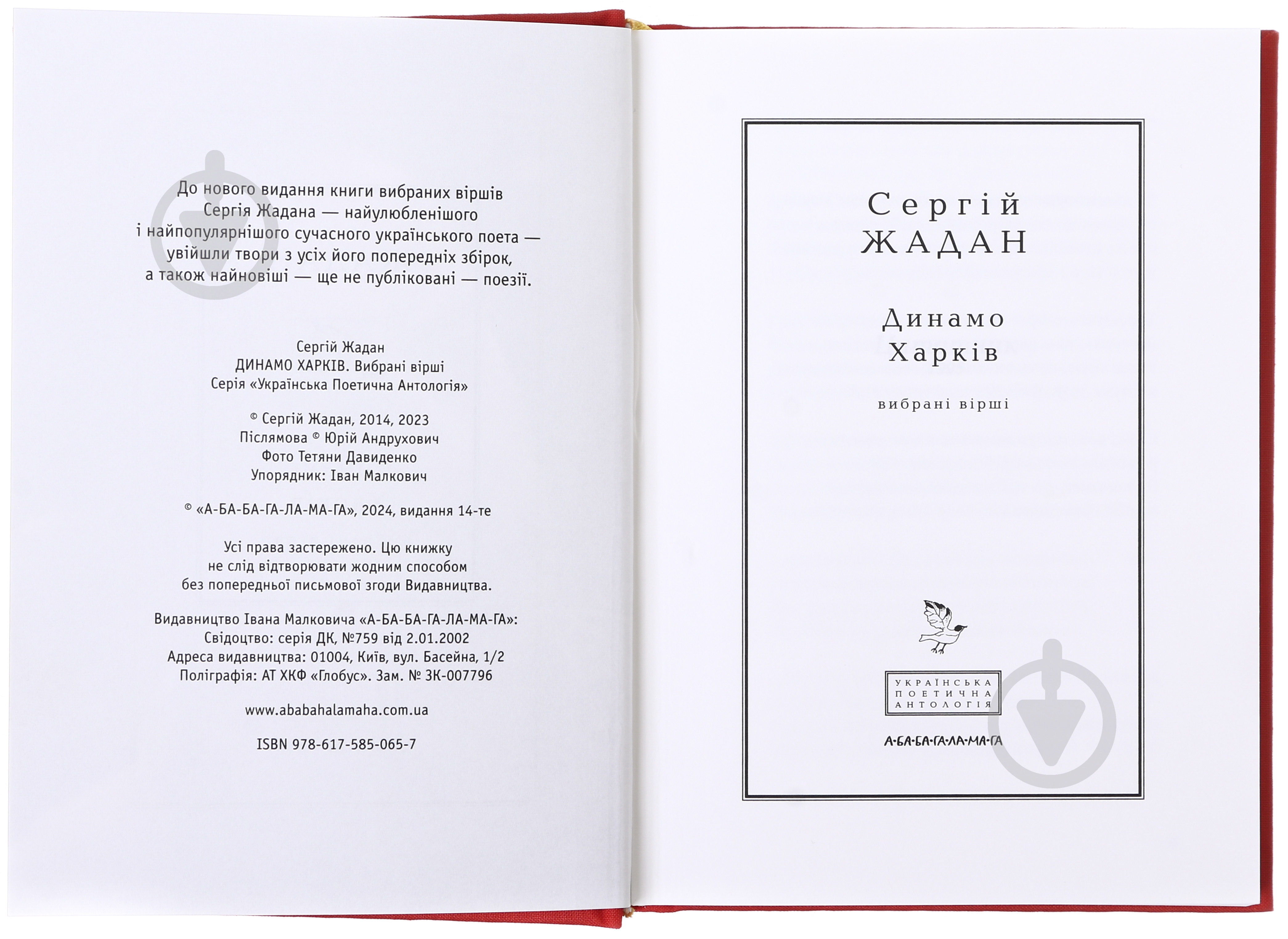 Книга Сергій Жадан «Динамо Харків» 9786175850657 - фото 3