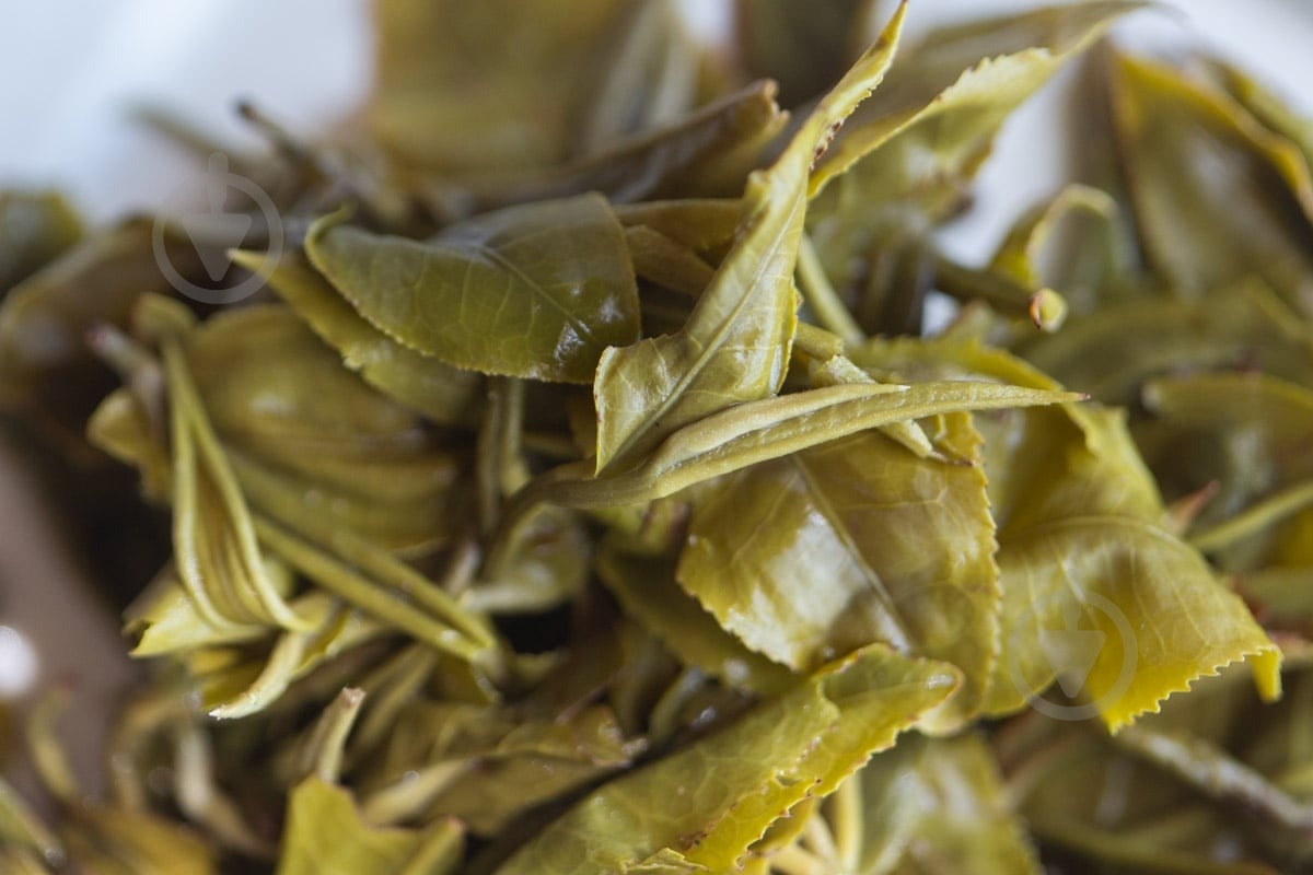 Чай зеленый Bitterleaf Teas Hulk Simao 250 г (S8878) - фото 2