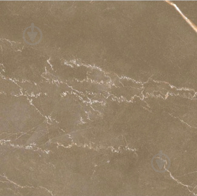 Плитка TAU Ceramica CROTONE UMBER PULIDO 120х120 - фото 1