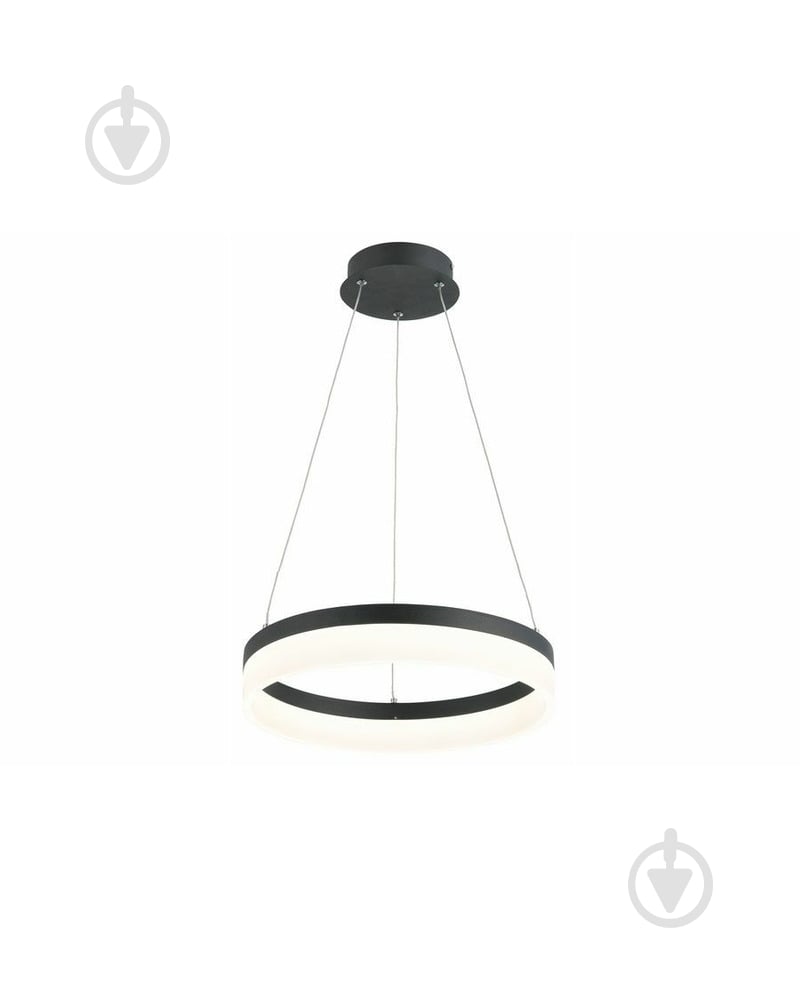 Люстра подвесная Reality Cornelia 1x24 Вт LED-модуль черный 330601-35 - фото 1