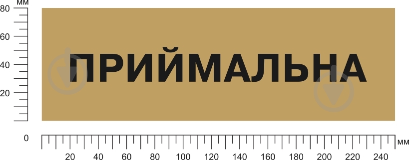 Табличка Приемная 250х80 мм латунь - фото 2 Табличка Приемная 250х80 мм латунь - фото 2