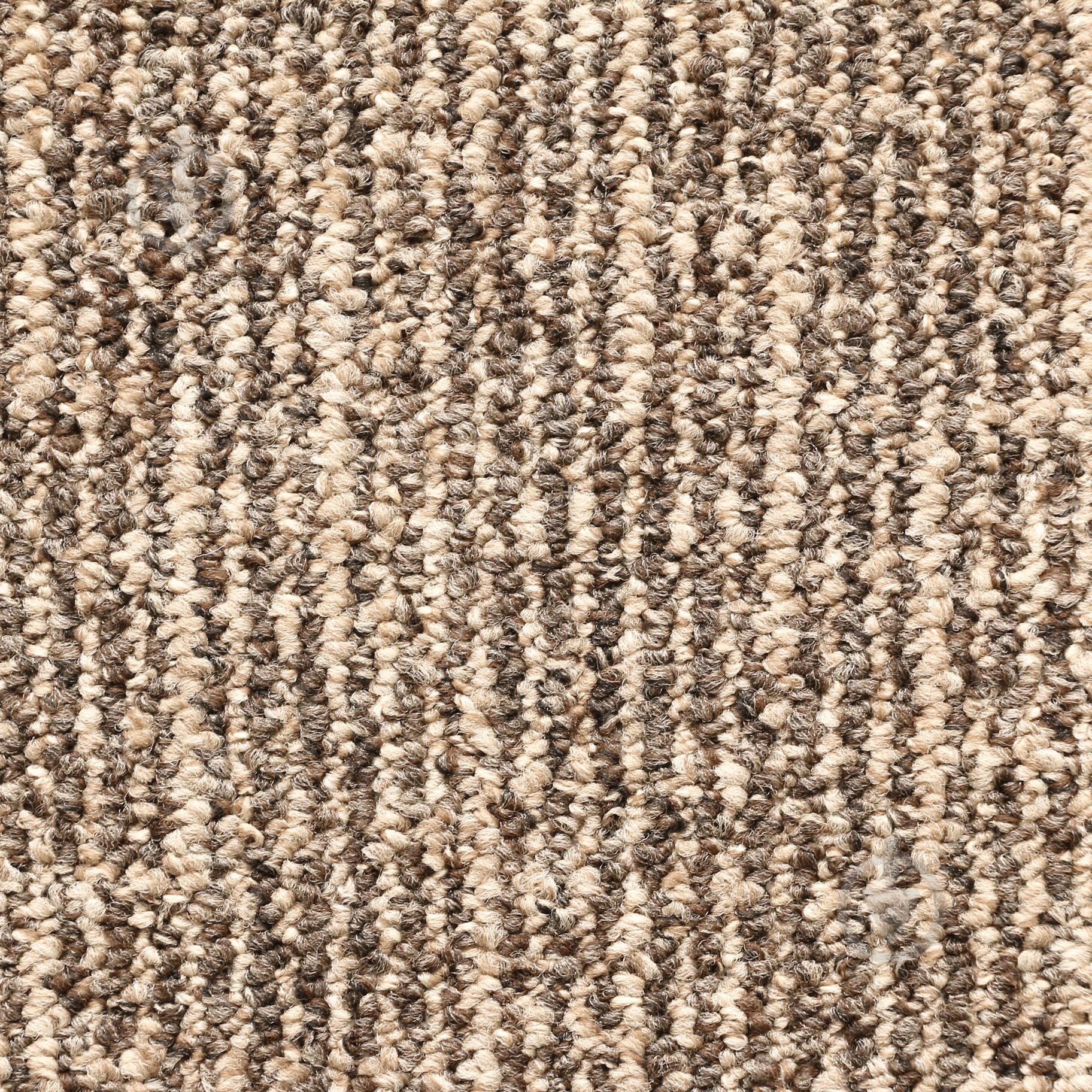 Ковролин Betap Novella 90 5 м - фото 1 Ковролин Betap Novella 90 5 м - фото 1