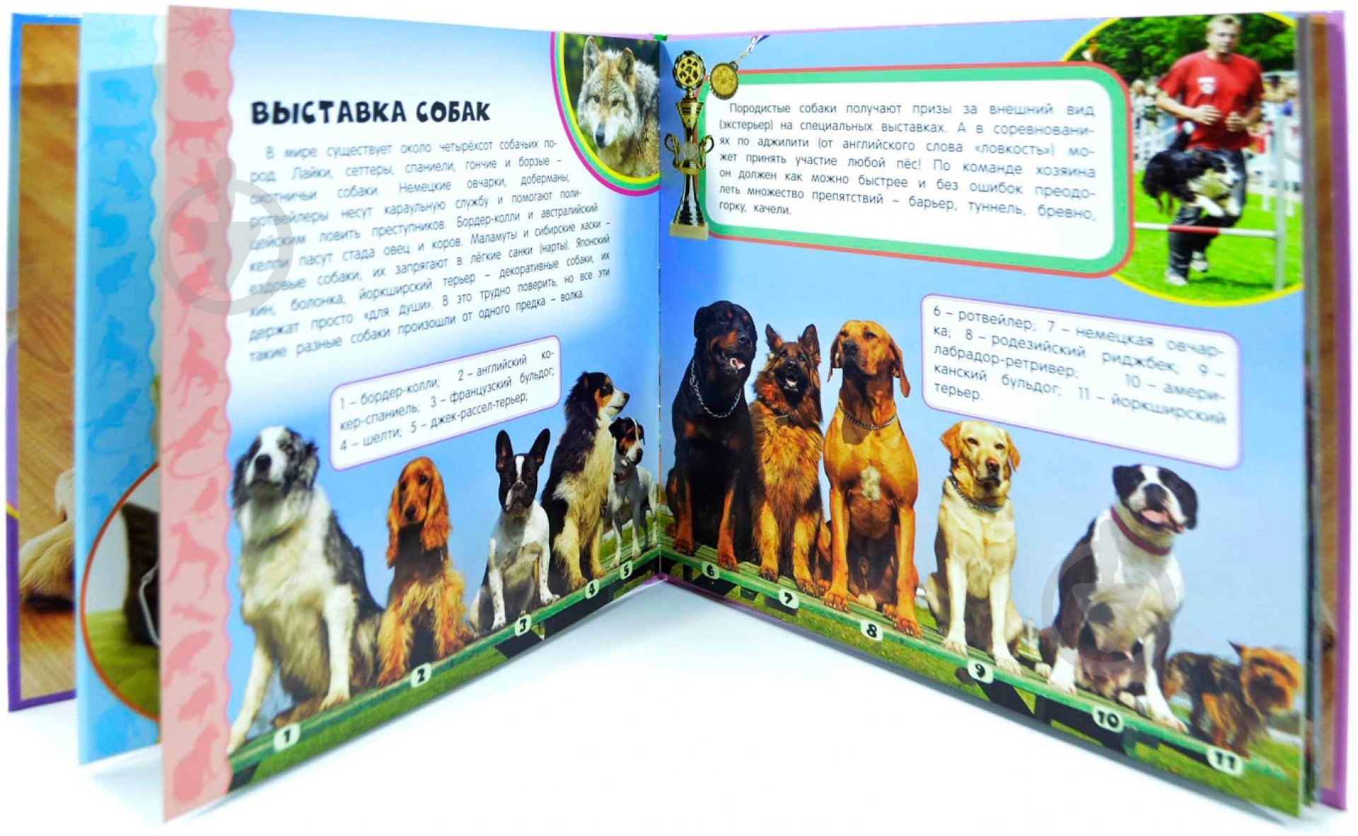 Книга Ирина Травина «Домашние питомцы» 978-966-462-541-5 - фото 3 Книга Ирина Травина «Домашние питомцы» 978-966-462-541-5 - фото 3