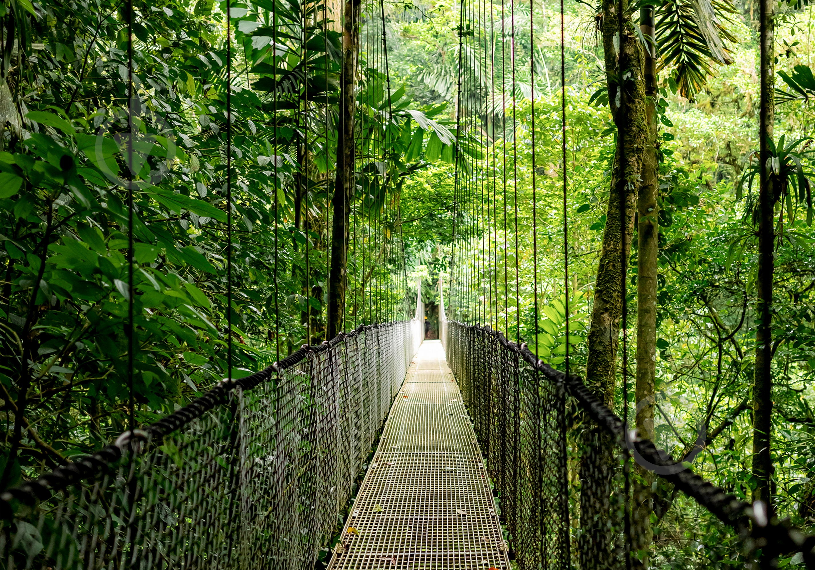 Ноутбук HP ProBook 4 G1a 16 16" (B9ZJ1ET) pike silver - фото 16 Ноутбук HP ProBook 4 G1a 16 16" (B9ZJ1ET) pike silver - фото 16