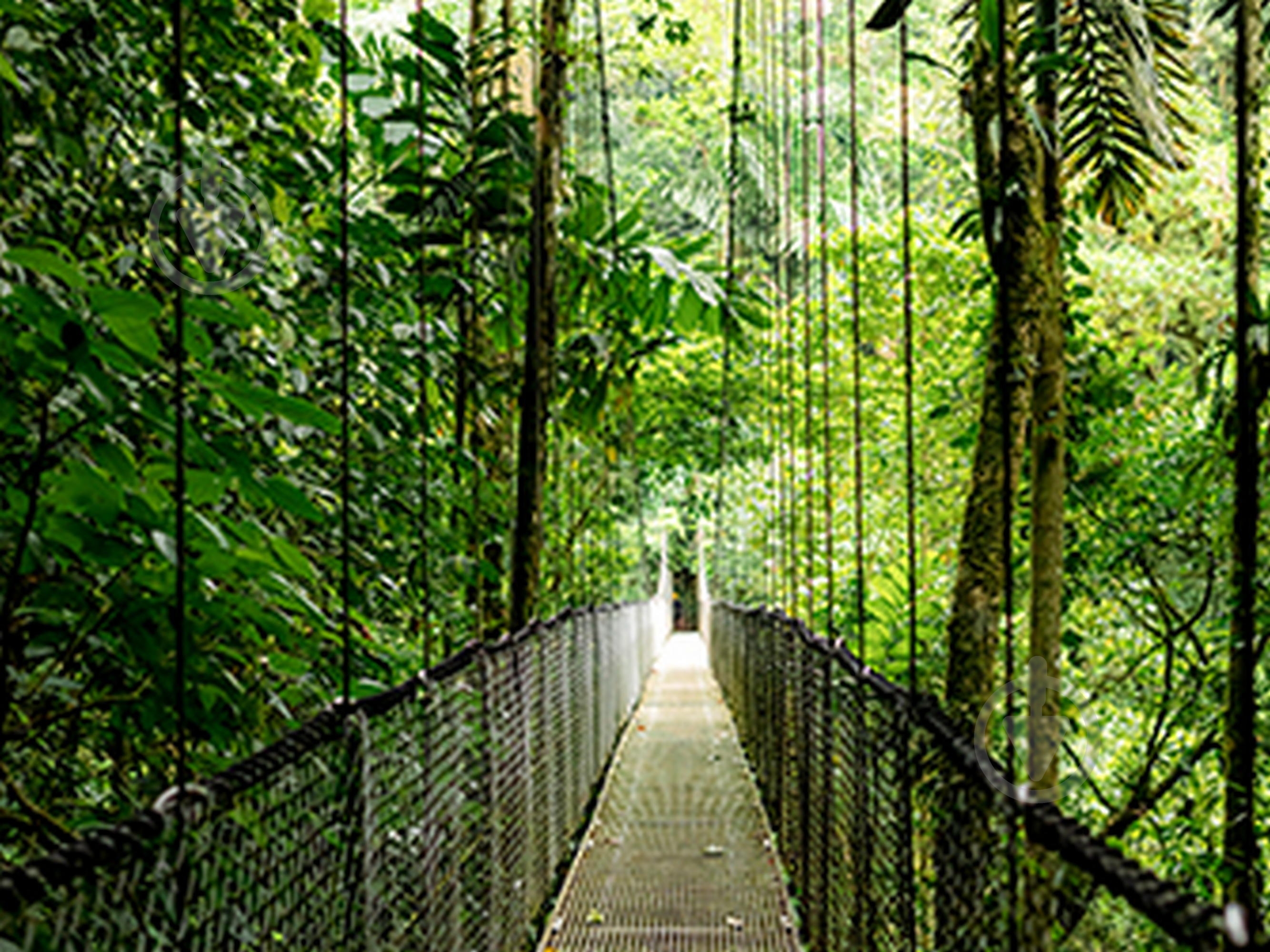 Ноутбук HP ProBook 4 G1a 16 16" (B9ZJ2ET) pike silver - фото 13 Ноутбук HP ProBook 4 G1a 16 16" (B9ZJ2ET) pike silver - фото 13