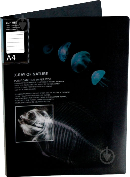 Папка O31267 CLIP B X-RAY Optima - фото 5