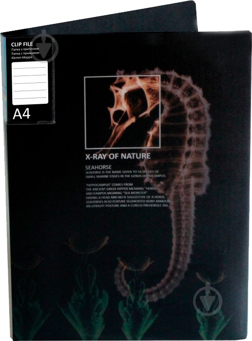Папка O31267 CLIP B X-RAY Optima - фото 3