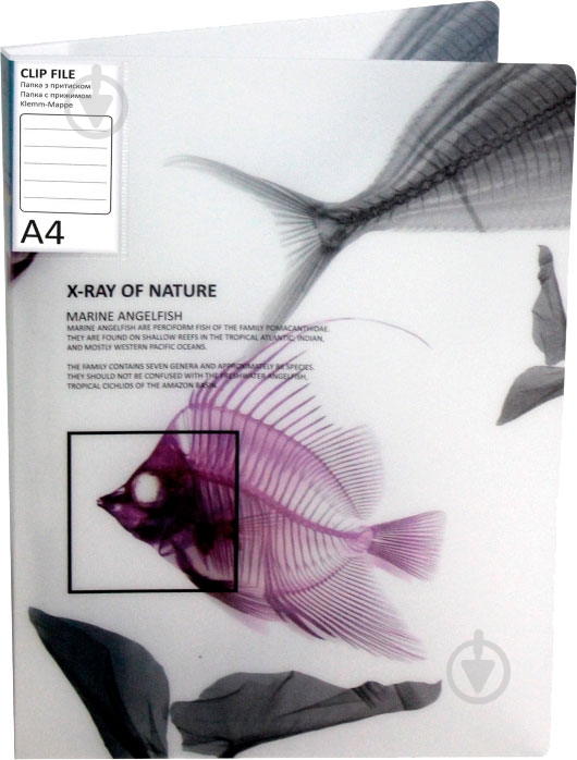 Папка O31267 CLIP B X-RAY Optima - фото 2