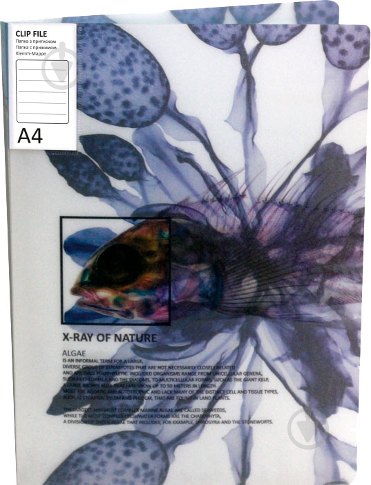 Папка O31267 CLIP B X-RAY Optima - фото 4