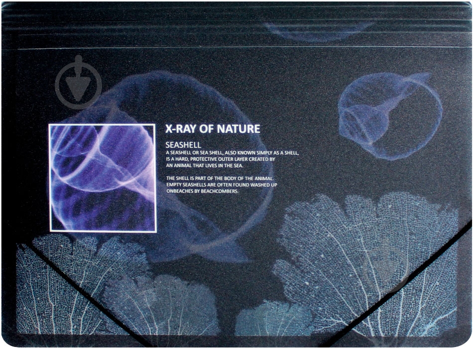 Папка O30697 X-RAY Optima - фото 4