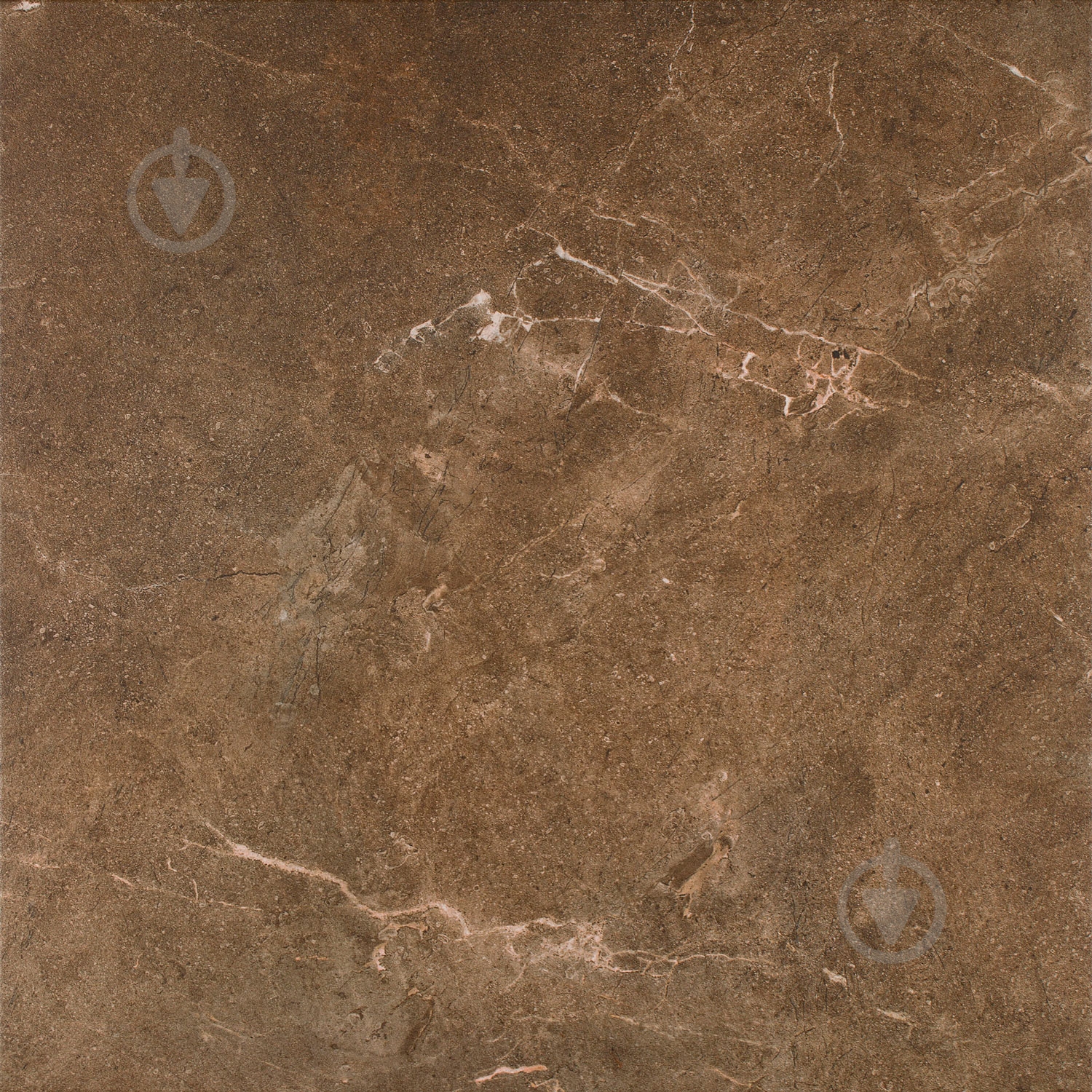 Плитка Ceramika Paradyz Ibis brown gres szkl mat 60x60 см - фото 1