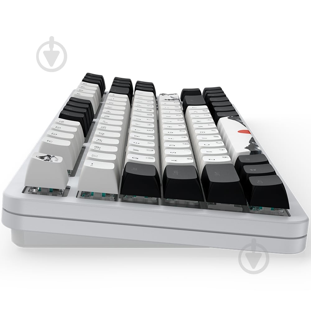 Клавіатура ігрова Dark Project ALU87 Fuji II Mechanical (DPKB_FUJI_87_ANSI) white/black - фото 5 Клавіатура ігрова Dark Project ALU87 Fuji II Mechanical (DPKB_FUJI_87_ANSI) white/black - фото 5