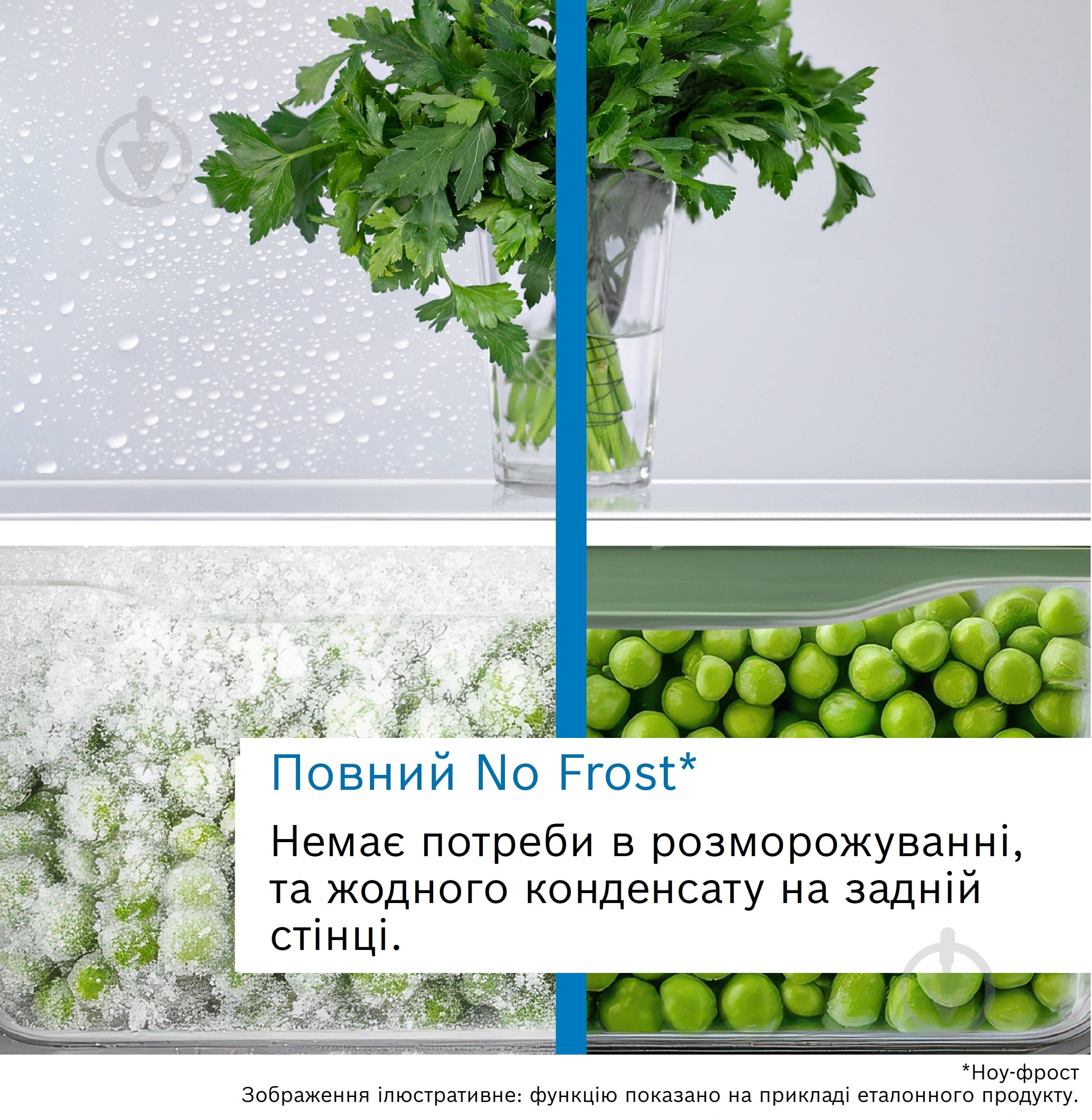Холодильник Bosch KGN76CXE0N, Серія 6 - фото 12