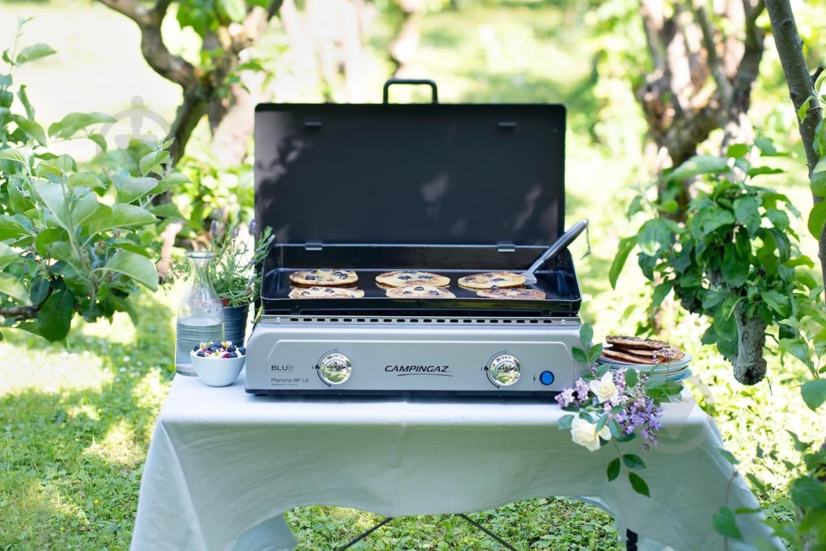 Гриль газовый Campingaz Plancha BF LX - фото 5