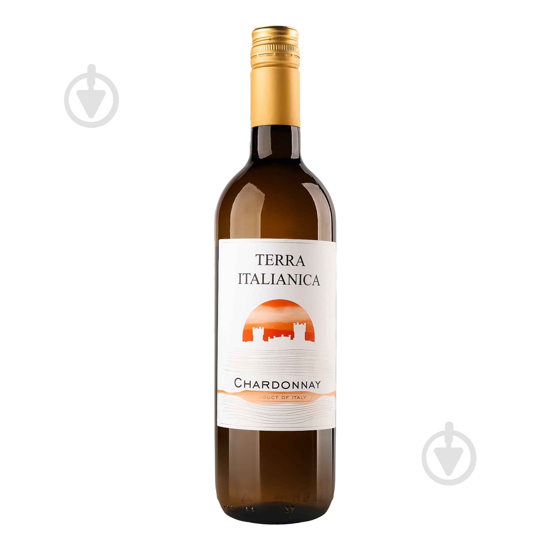 Вино Terra Italianica Chardonnay 0,75 л - фото 1