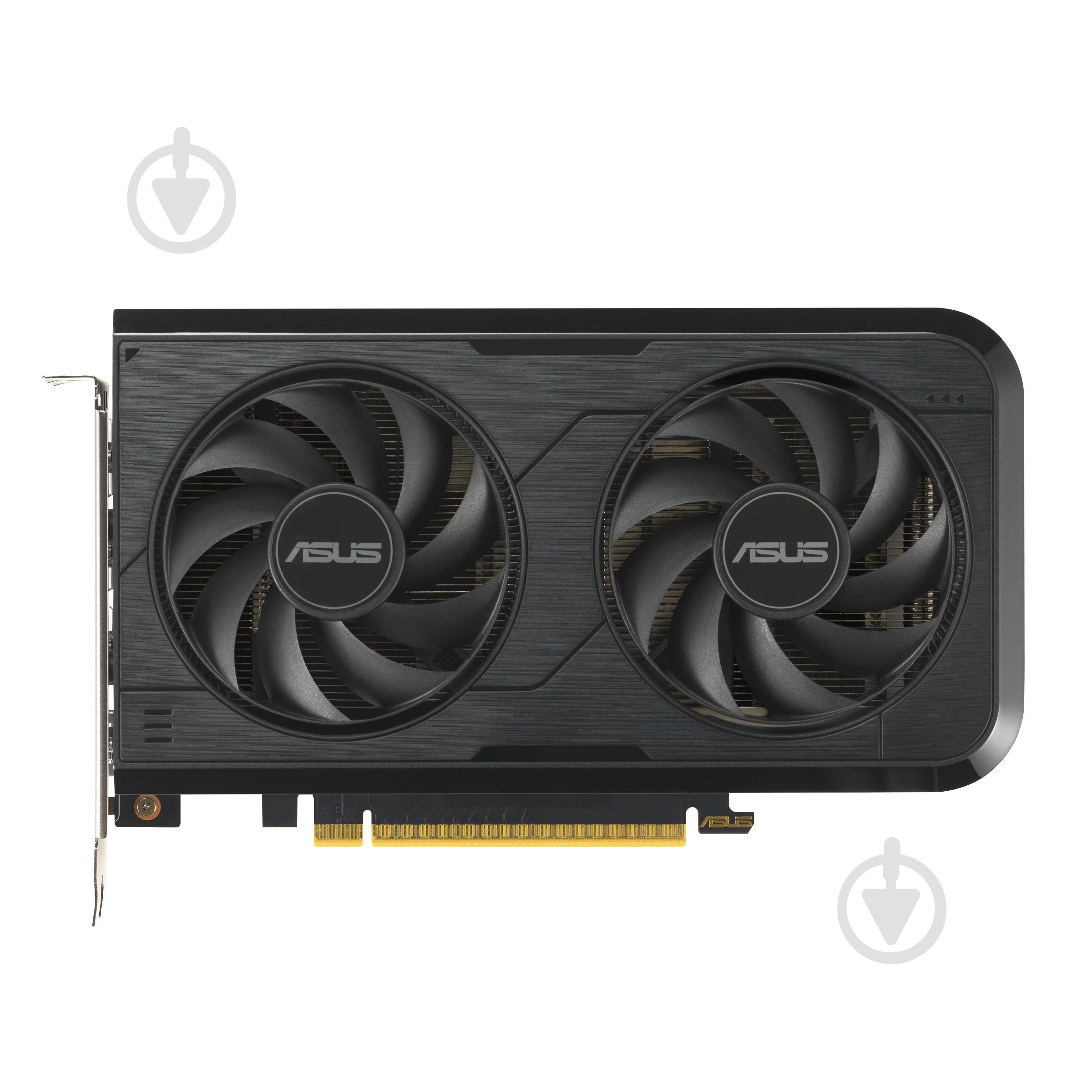 Відеокарта Asus GeForce RTX 5050 8GB GDDR6 128bit (90YV0N72-M0NA00) - фото 1