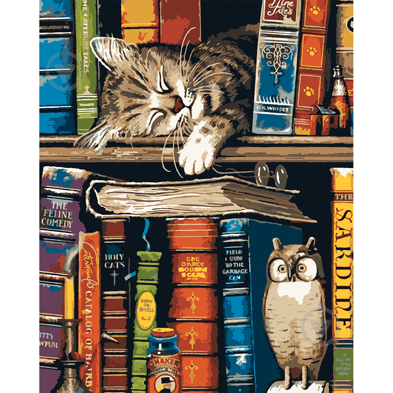Картина по номерам Котик и книжки 40x50 см Santi - фото 1