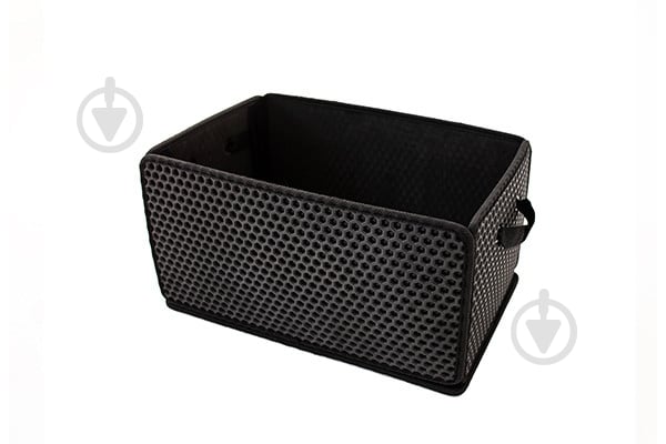 Сумка-органайзер EVAtech LightBox 33x50x25 см BS13837OS5SBB черный - фото 1