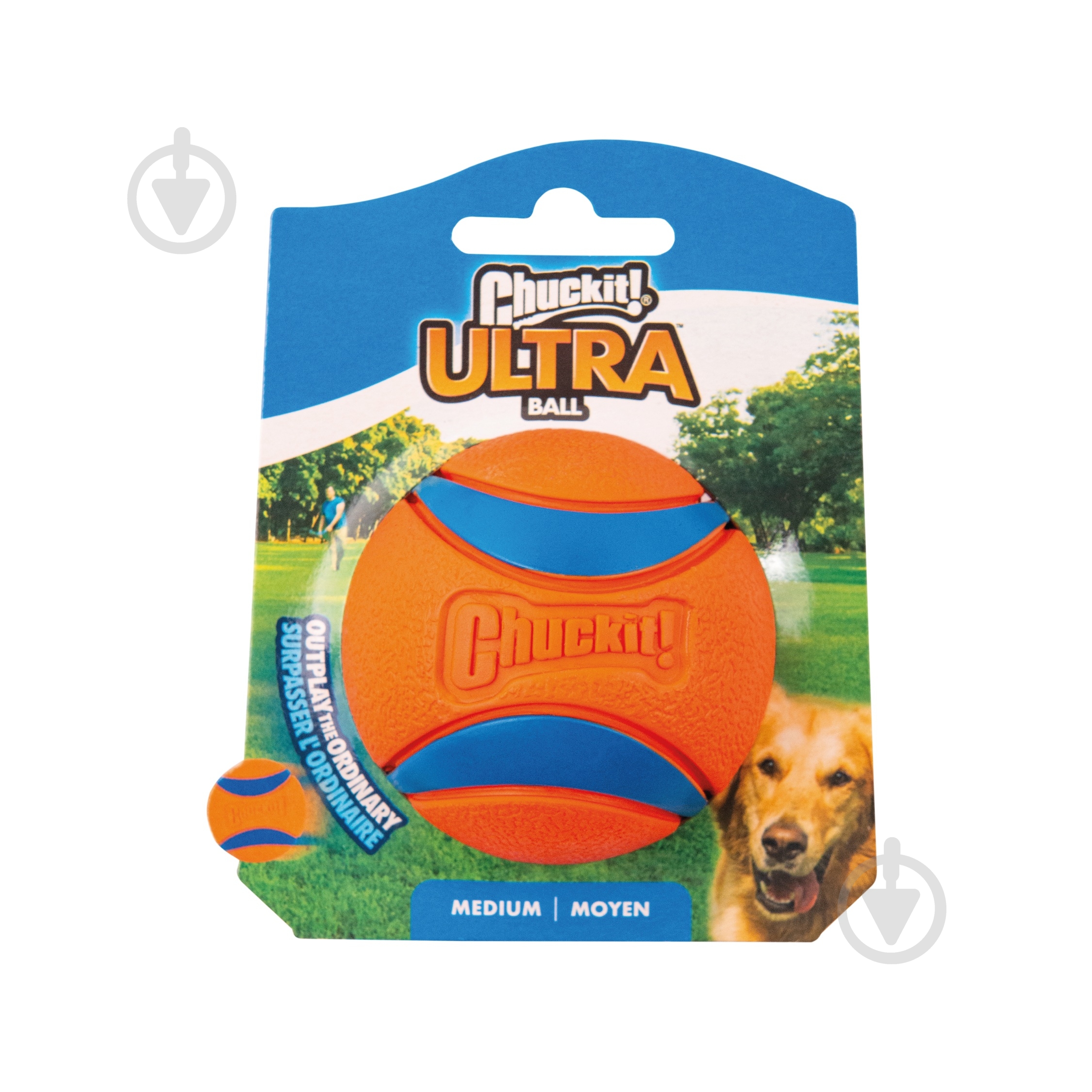 Мяч CHUCKIT средний размер м - фото 1 Мяч CHUCKIT средний размер м - фото 1