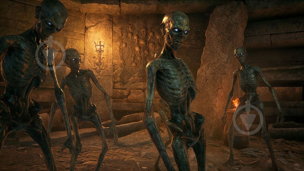 Игра Hogwarts Legacy Deluxe Edition (Nintendo Switch) - фото 6