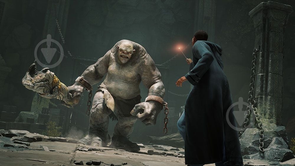 Игра Hogwarts Legacy Deluxe Edition (Nintendo Switch) - фото 9