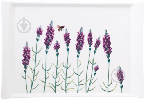 Блюдо прямоугольное Astera Lavander Color 21 см A0510-S2-12А - фото 1 Блюдо прямоугольное Astera Lavander Color 21 см A0510-S2-12А - фото 1