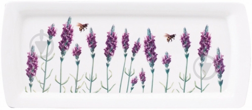 Блюдо прямоугольное Astera Lavander Color 37 см A0512-S2-13 - фото 1 Блюдо прямоугольное Astera Lavander Color 37 см A0512-S2-13 - фото 1