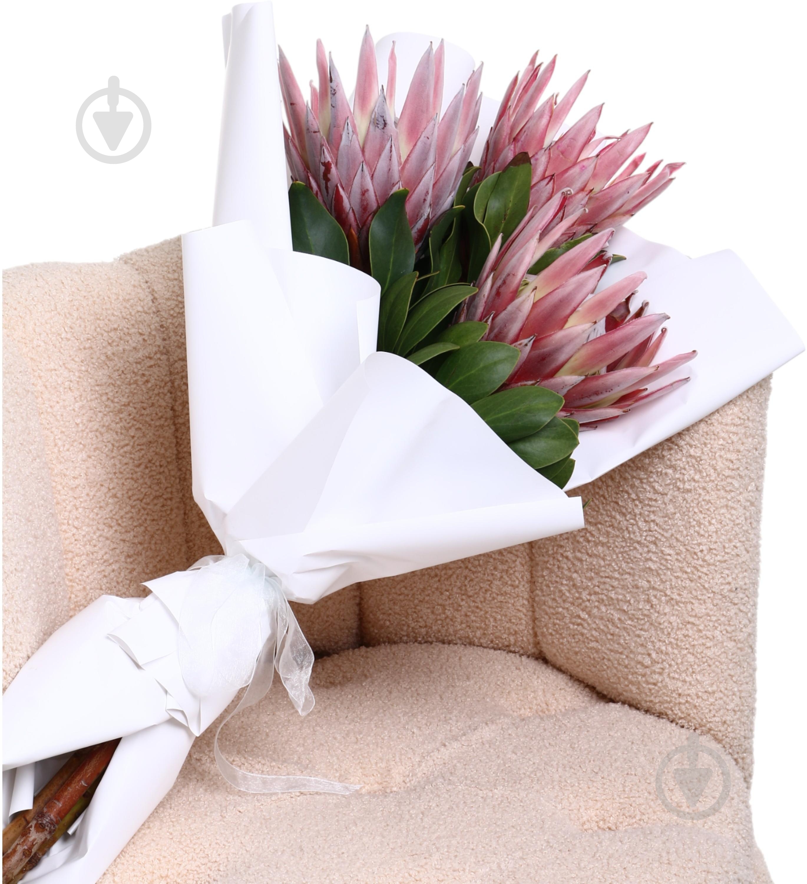 Протея Cynaroides рожева (Нідерланди) - фото 3