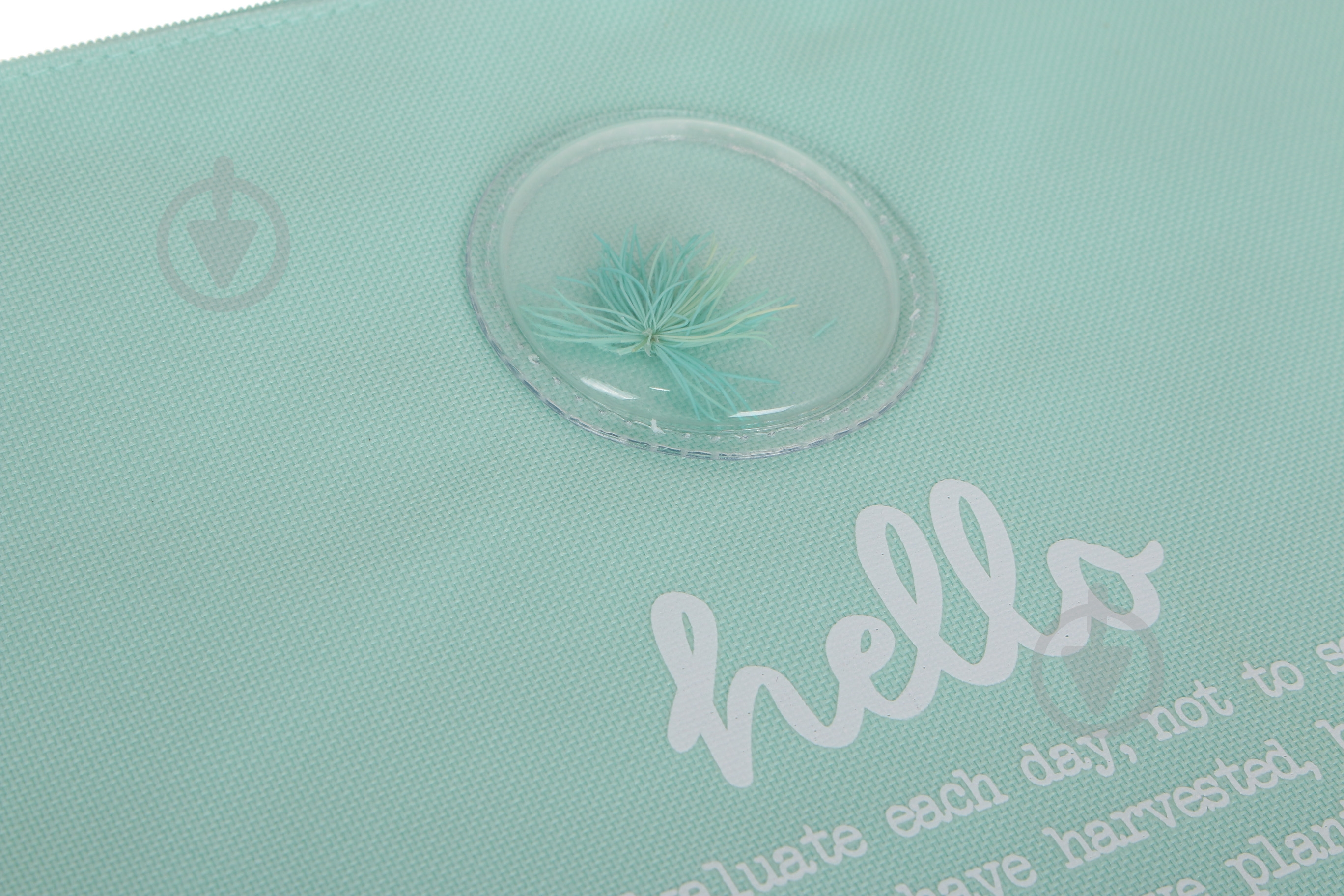 Папка Plants голубая - фото 3 Папка Plants голубая - фото 3