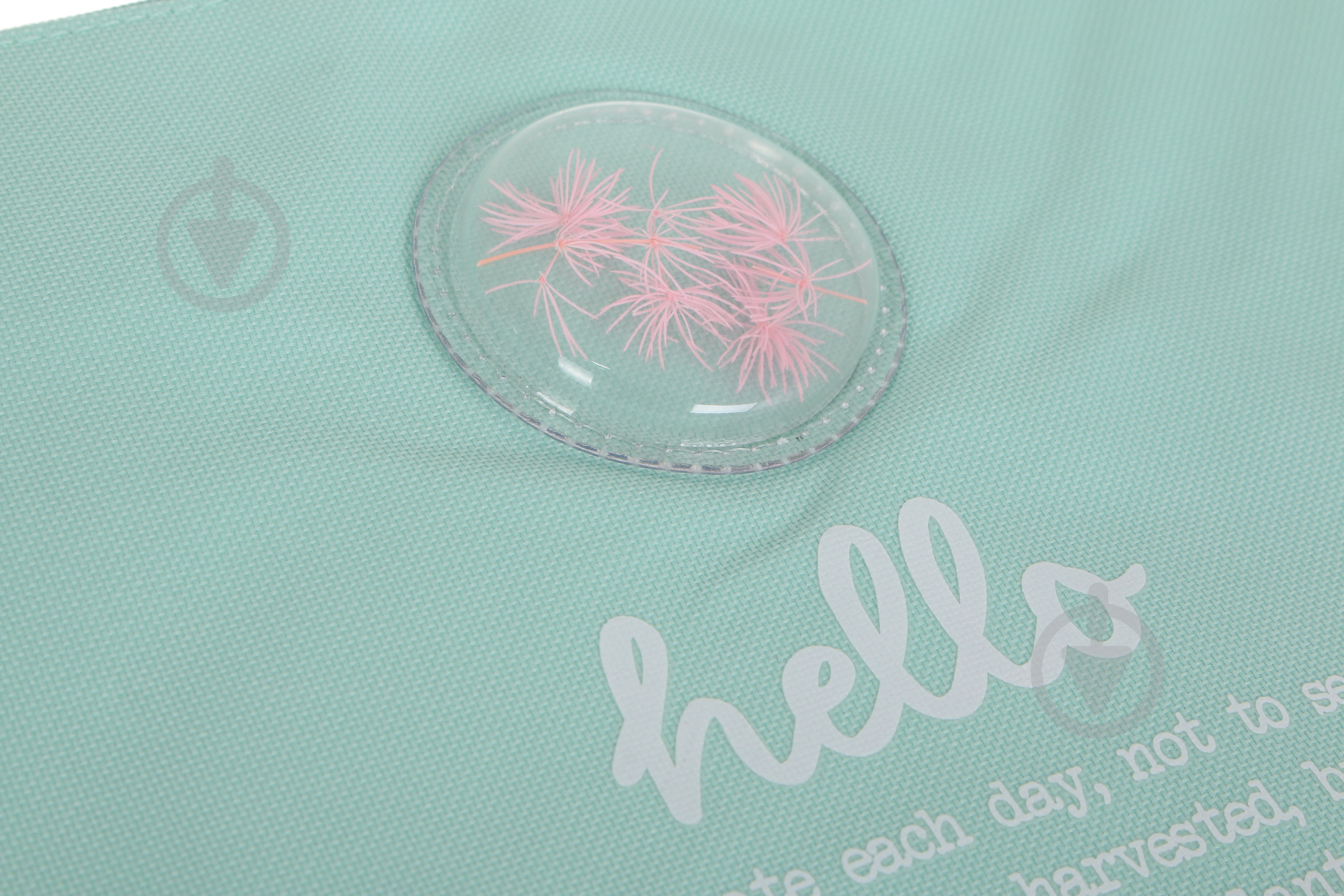 Папка Plants розовая - фото 3