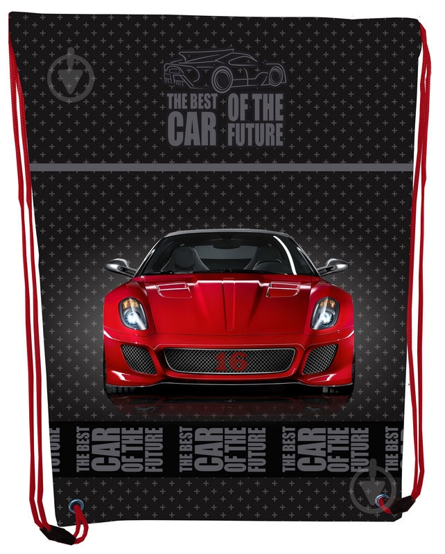 Сумка для обуви CLASS Red Car 46x33 см 2131C - фото 1