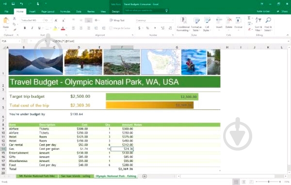 Программное обеспечение Microsoft Microsoft Office 2016 Home&Business All Languages (T5D-02322) - фото 4