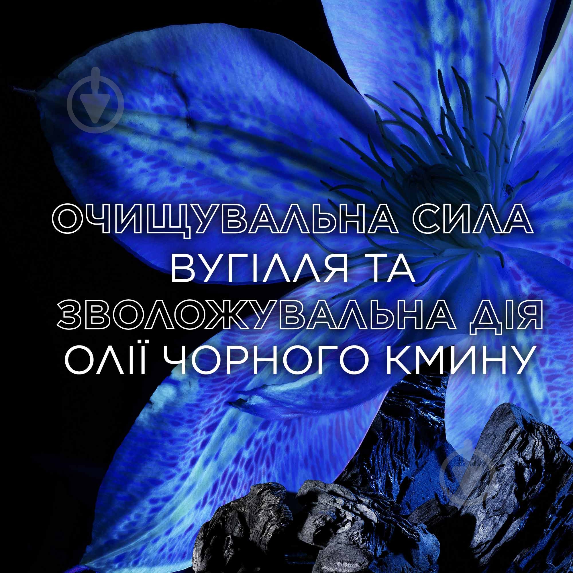 Шампунь Garnier Botanic Therapy Магнетический уголь 400 мл - фото 3