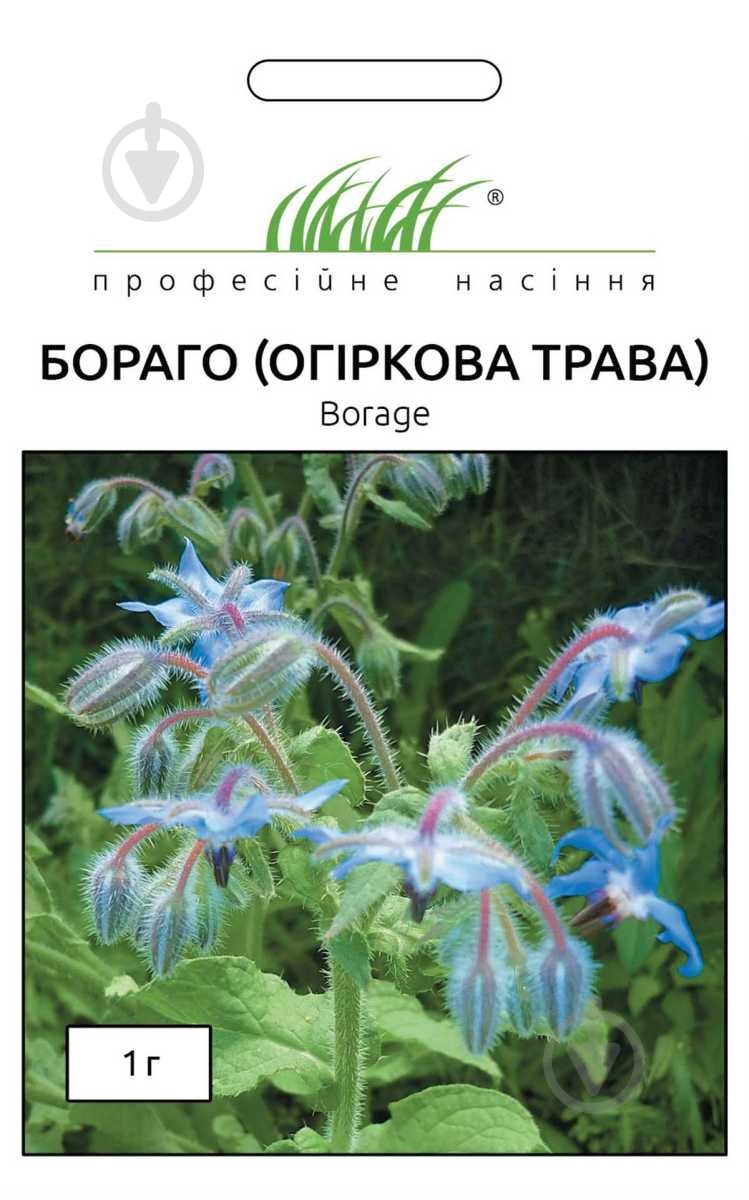 Семена Професійне насіння огуречная трава Бораго 1 г (4823058203539) - фото 1