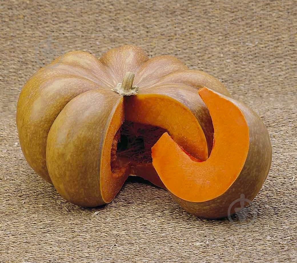 Семена Професійне насіння тыква Мускат де Прованс 1 г (4820176692931) - фото 2