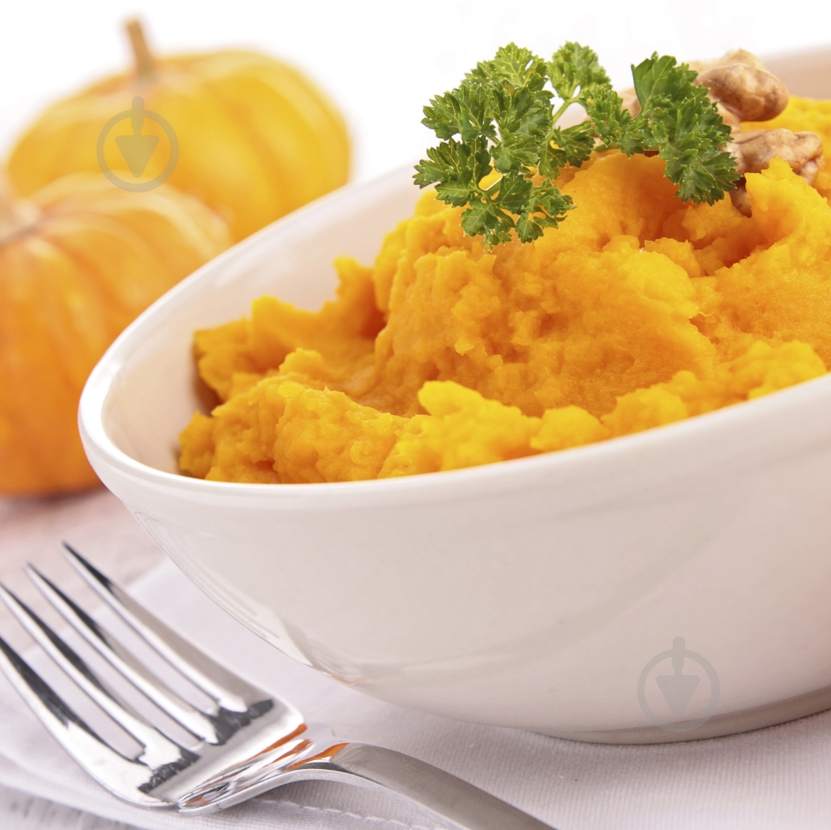 Семена Професійне насіння тыква Мускат де Прованс 1 г (4820176692931) - фото 3