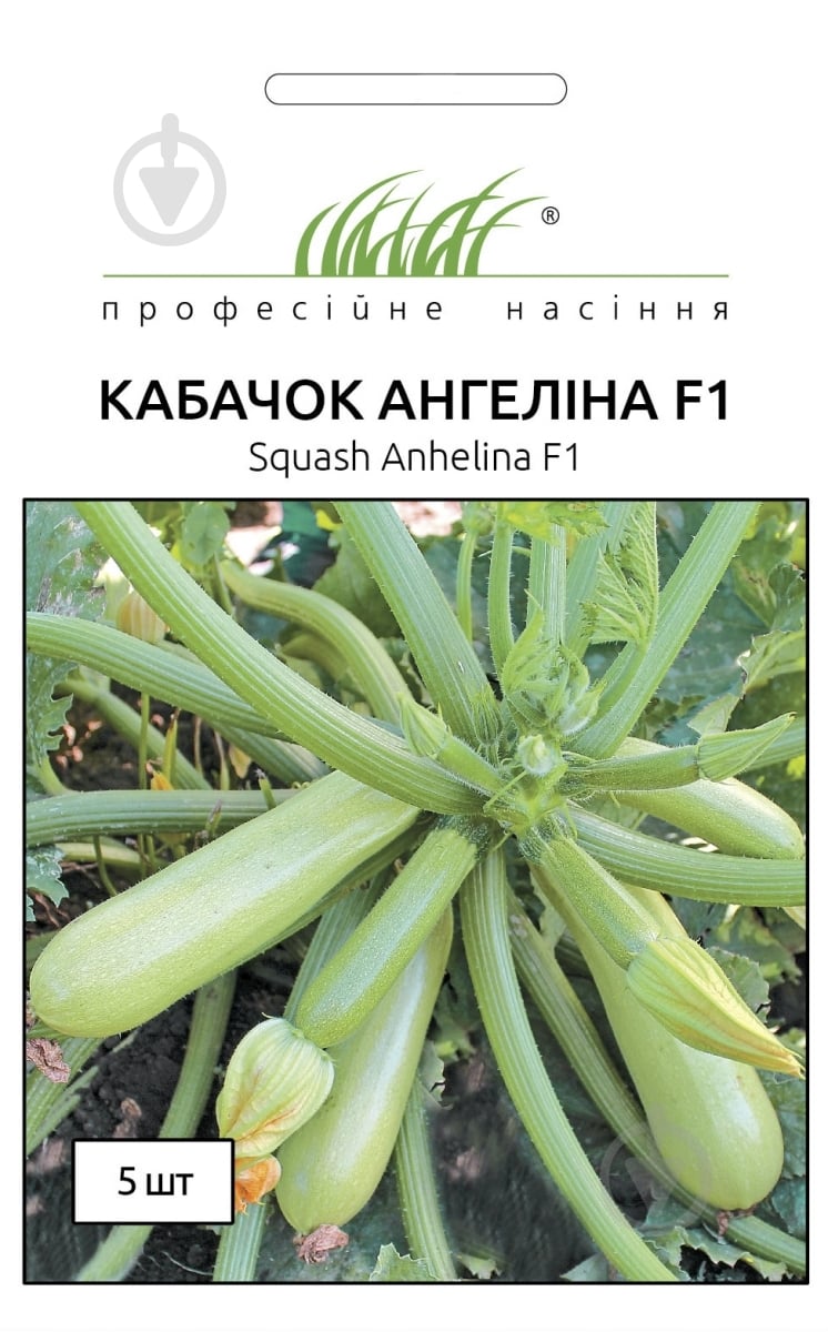 Насіння кабачок Ангеліна F1 5 шт. Професійне насіння - фото 1