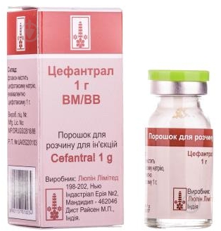 Цефантрал порошок 1 г - фото 1