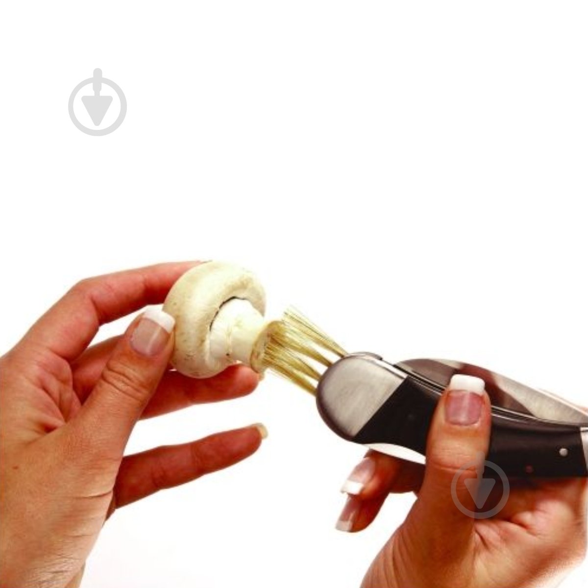 Ніж розкладний Schwarzwolf PILZ грибний F1900200SA3 - фото 2 Ніж розкладний Schwarzwolf PILZ грибний F1900200SA3 - фото 2