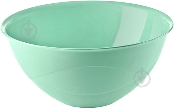 Миска Titiz Plastik 0,5 л бирюзовая AP-9111-TU - фото 1