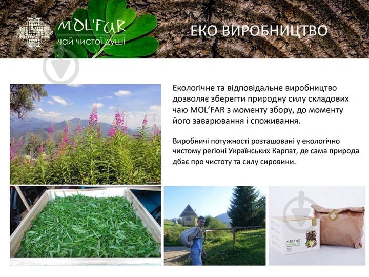 Чай чорний MOL'FAR кипрійний з цвітом липи 50 г (76495) - фото 3