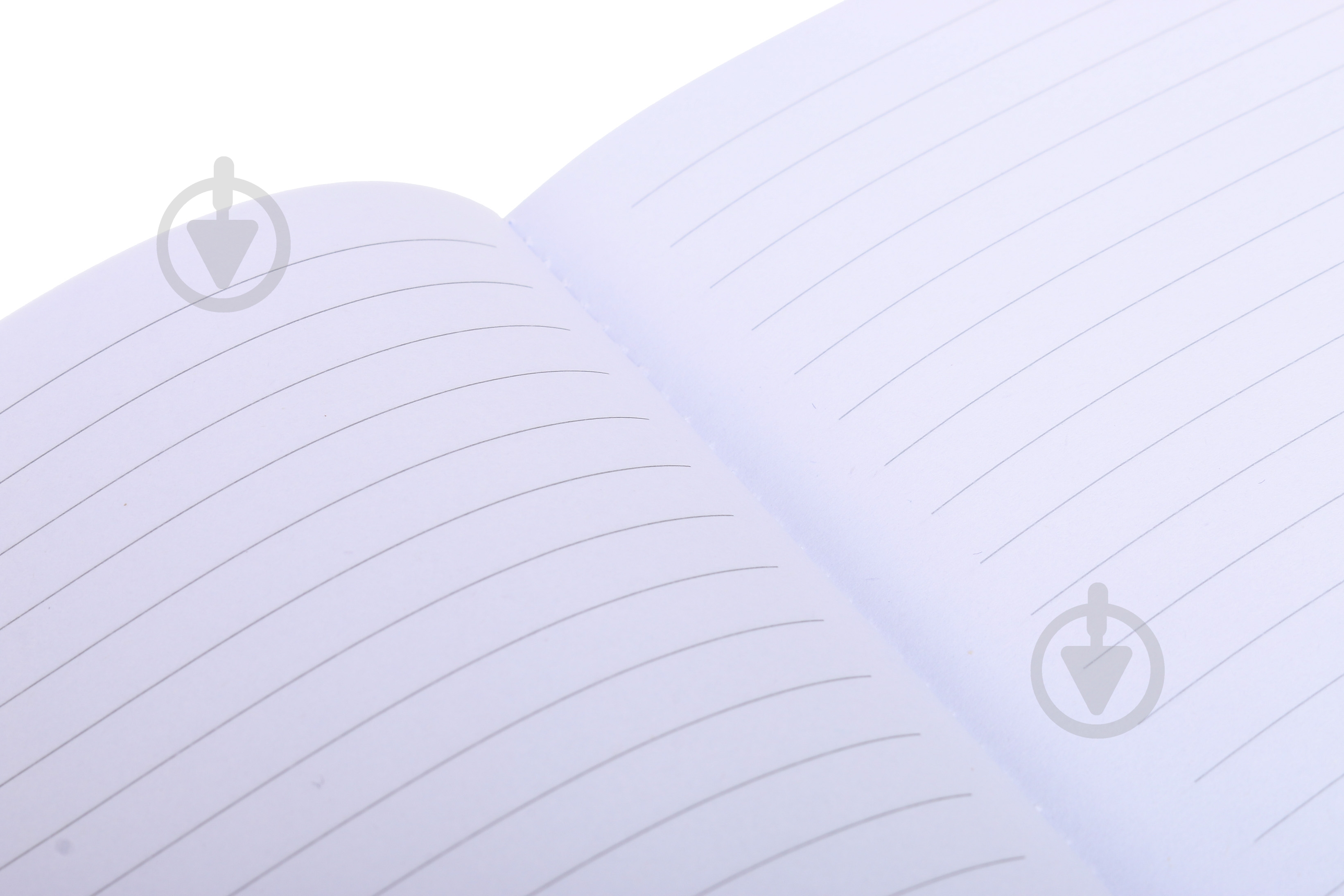 Блокнот Insects A5 80 листов - фото 4