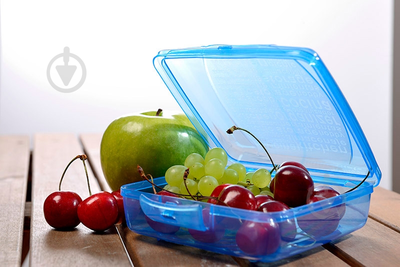 Ланч-бокс Titiz Plastik Takeaway 550 мл AP-9267-LB - фото 2