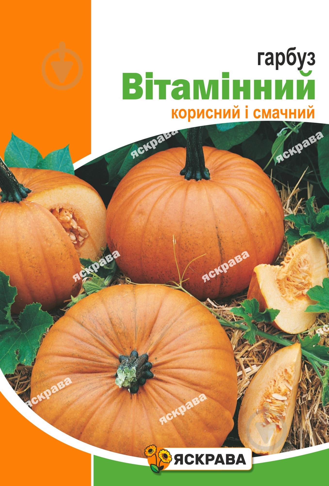 Семена Яскрава тыква Витаминная - фото 1 Семена Яскрава тыква Витаминная - фото 1