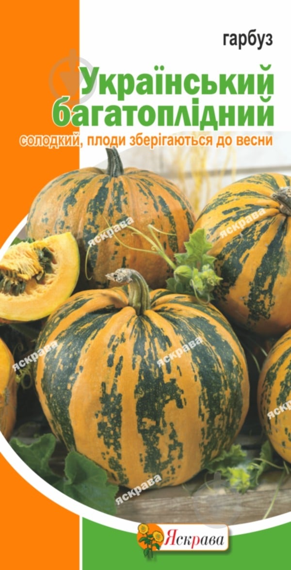 Семена Яскрава тыква Украинская Многоплодная - фото 1