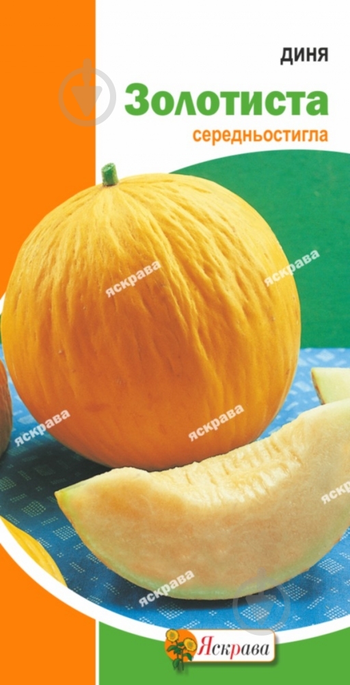 Насіння Яскрава диня Золотиста - фото 1 Насіння Яскрава диня Золотиста - фото 1