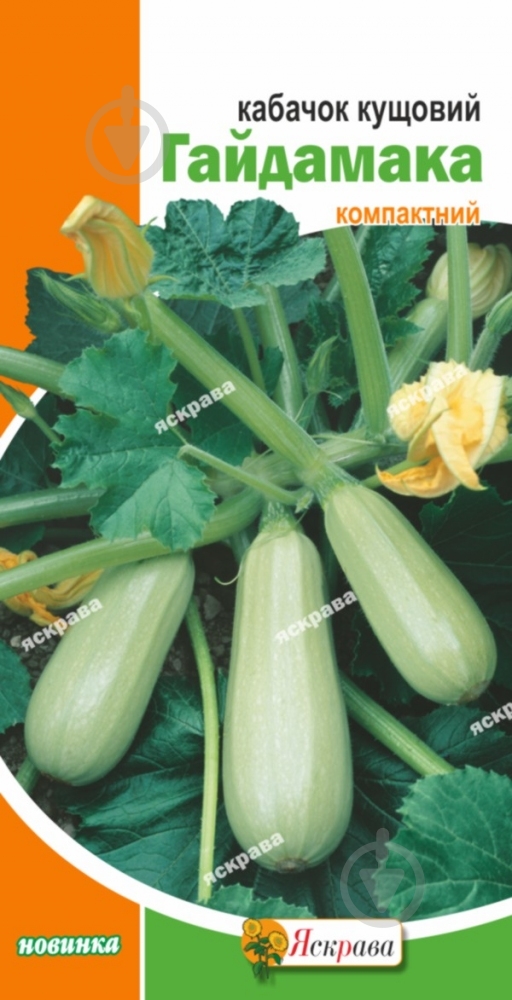 Семена Яскрава кабачок кустовой Гайдамака - фото 1